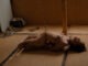 apprenez les noeuds de base du shibari