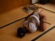 tous les tutos bondage sont sur l'ecole des cordes