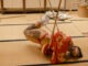 Shibari et Cours de Shibari à l'Ecole Des Cordes
