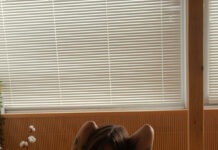 Différences entre un Nawa kai (salon shibari) ou un workshop ?