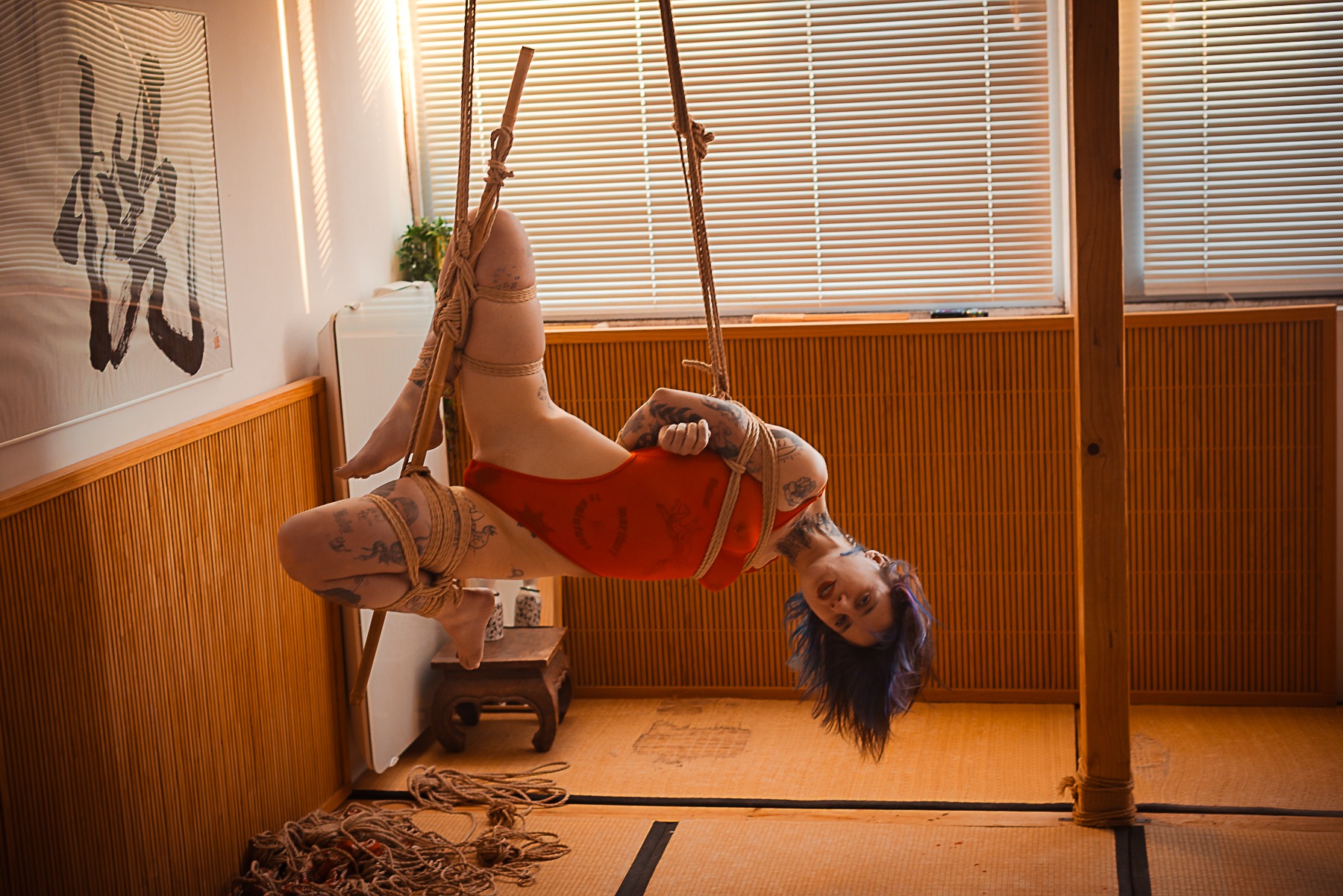 Le All Around the Clock : une nouvelle ère des futomomo bambou transitions en shibari